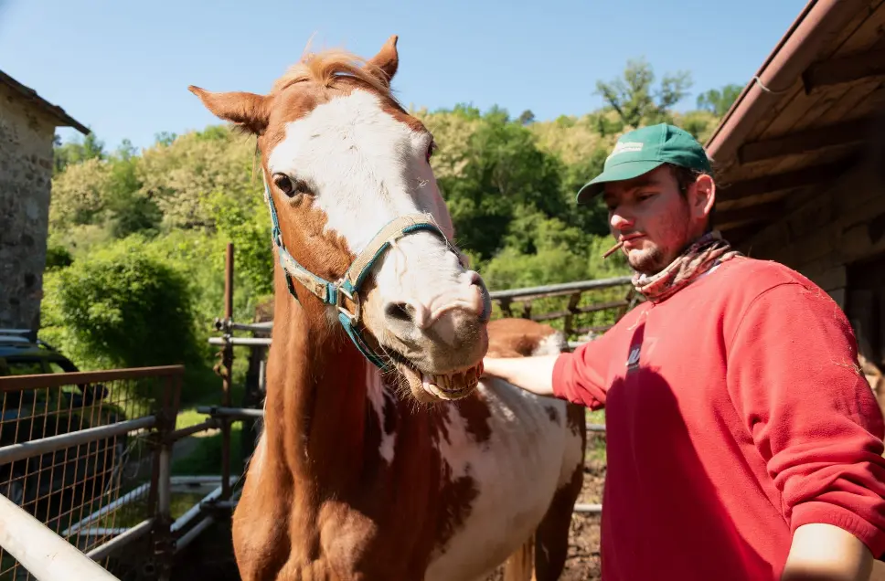 Il fattore con uno dei suoi cavalli